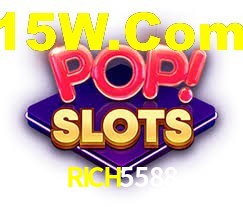 Premium Interface RICH5588